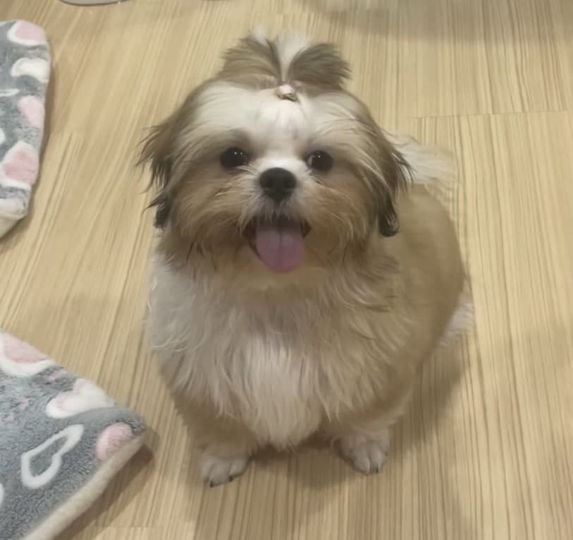 Instructor_Name Image